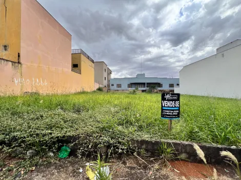 imagem 1 - Lote de 546m² à venda - Jardim Califórnia imagem 1 - Lote de 546m² à venda - Jardim Califórnia