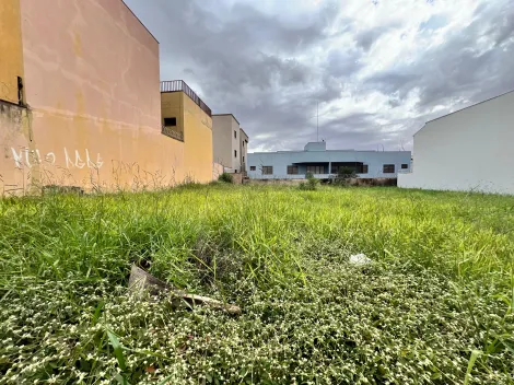 imagem 3 - Lote de 546m² à venda - Jardim Califórnia imagem 3 - Lote de 546m² à venda - Jardim Califórnia