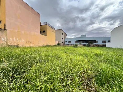 imagem 4 - Lote de 546m² à venda - Jardim Califórnia imagem 4 - Lote de 546m² à venda - Jardim Califórnia