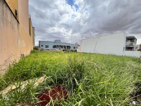 imagem 5 - Lote de 546m² à venda - Jardim Califórnia imagem 5 - Lote de 546m² à venda - Jardim Califórnia