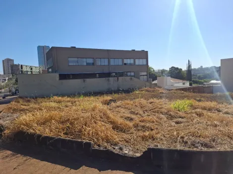 imagem 3 - Terreno de 584m² para locação - Jardim Botânico imagem 3 - Terreno de 584m² para locação - Jardim Botânico