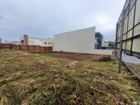 imagem 4 - Terreno de 300m² à venda - Jardim Botânico imagem 4 - Terreno de 300m² à venda - Jardim Botânico