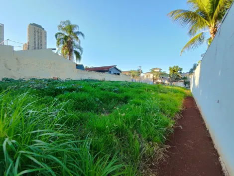 imagem 4 - Terreno de 771m² à venda - Jardim Canadá imagem 4 - Terreno de 771m² à venda - Jardim Canadá