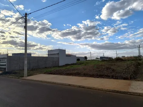 imagem 2 - Terreno de 240m² à venda - Jardim Sul-Sertãozinho imagem 2 - Terreno de 240m² à venda - Jardim Sul-Sertãozinho