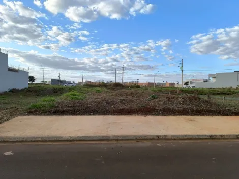 imagem 3 - Terreno de 240m² à venda - Jardim Sul-Sertãozinho imagem 3 - Terreno de 240m² à venda - Jardim Sul-Sertãozinho