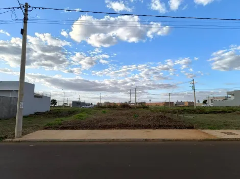 imagem 4 - Terreno de 240m² à venda - Jardim Sul-Sertãozinho imagem 4 - Terreno de 240m² à venda - Jardim Sul-Sertãozinho
