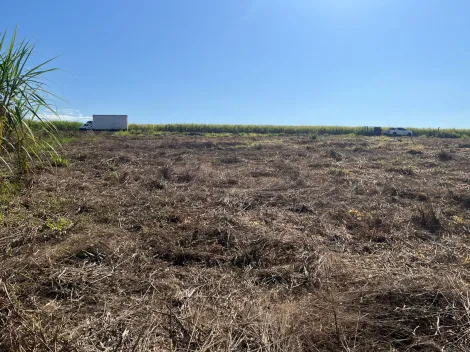 imagem 2 - Terreno de 6.000,00 em Cruz das Posses imagem 2 - Terreno de 6.000,00 em Cruz das Posses