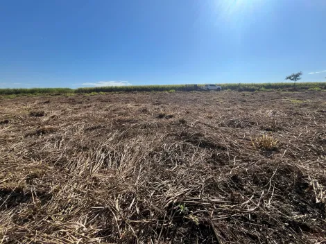 imagem 4 - Terreno de 6.000,00 em Cruz das Posses imagem 4 - Terreno de 6.000,00 em Cruz das Posses