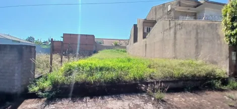 imagem 2 - Terreno 300m² à venda - Alto da Boa Vista imagem 2 - Terreno 300m² à venda - Alto da Boa Vista