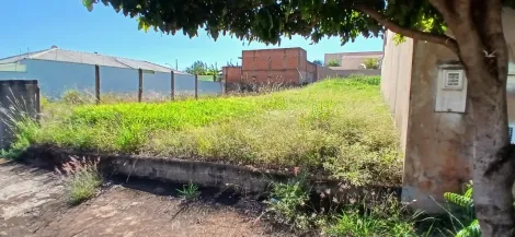 imagem 3 - Terreno 300m² à venda - Alto da Boa Vista imagem 3 - Terreno 300m² à venda - Alto da Boa Vista