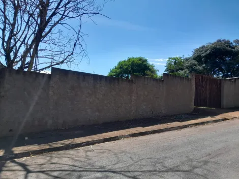 imagem 3 - Terreno de 1300m² para venda - Luís Antônio imagem 3 - Terreno de 1300m² para venda - Luís Antônio