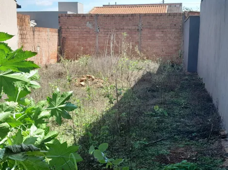 imagem 1 - Terreno de 160m² - Pedra Branca imagem 1 - Terreno de 160m² - Pedra Branca