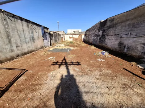 imagem 1 - Terreno de 315m² para locação - Ipiranga. imagem 1 - Terreno de 315m² para locação - Ipiranga.