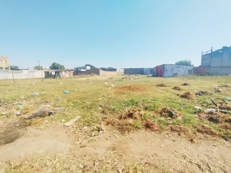 imagem 5 - Terreno - Padrão imagem 5 - Terreno - Padrão