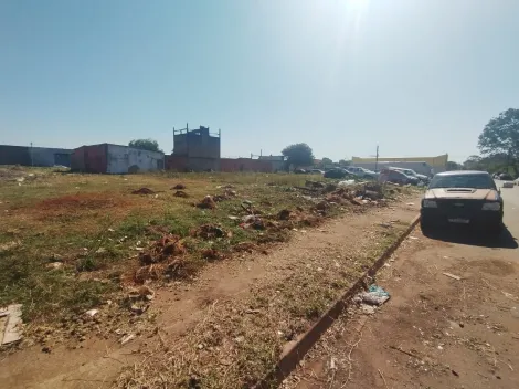 imagem 3 - Terreno misto de 340 m² à venda - Vila Elisa imagem 3 - Terreno misto de 340 m² à venda - Vila Elisa