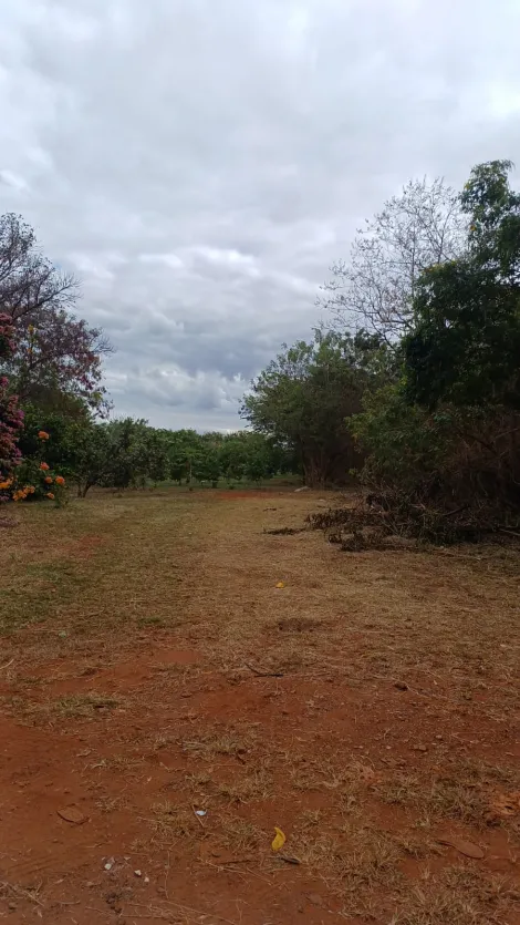 imagem 1 - Terreno de 2020m² à venda - Chácara Pedro de Carvalho imagem 1 - Terreno de 2020m² à venda - Chácara Pedro de Carvalho