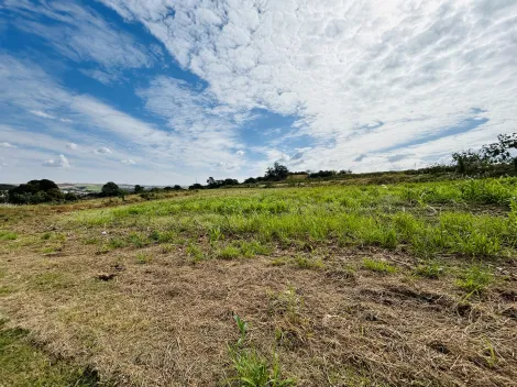 imagem 3 - Terreno misto de 389m² à venda - Village Costa Sul imagem 3 - Terreno misto de 389m² à venda - Village Costa Sul