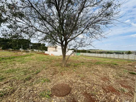 imagem 2 - Terreno de 263m² à venda em condomínio - Village Costa Sul imagem 2 - Terreno de 263m² à venda em condomínio - Village Costa Sul