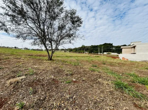 imagem 3 - Terreno de 263m² à venda em condomínio - Village Costa Sul imagem 3 - Terreno de 263m² à venda em condomínio - Village Costa Sul