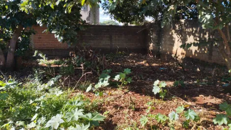 imagem 1 - Terreno de 363m² pronto para construir para venda - Vila Virgínia imagem 1 - Terreno de 363m² pronto para construir para venda - Vila Virgínia