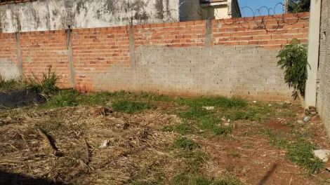 imagem 3 - Terreno de 363m² pronto para construir para venda - Vila Virgínia imagem 3 - Terreno de 363m² pronto para construir para venda - Vila Virgínia