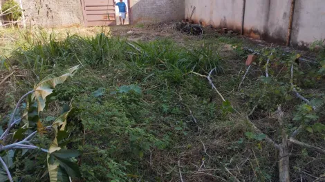 imagem 2 - Terreno de 363m² pronto para construir para venda - Vila Virgínia imagem 2 - Terreno de 363m² pronto para construir para venda - Vila Virgínia