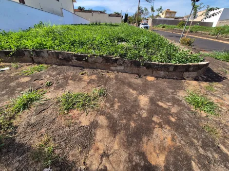 imagem 4 - Terreno de 291m² à venda - Alto da Boa Vista imagem 4 - Terreno de 291m² à venda - Alto da Boa Vista