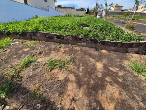 imagem 5 - Terreno de 291m² à venda - Alto da Boa Vista imagem 5 - Terreno de 291m² à venda - Alto da Boa Vista