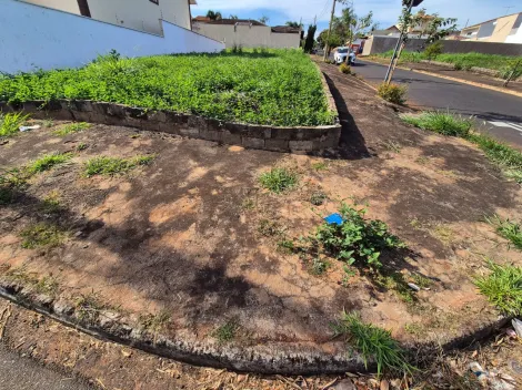 imagem 1 - Terreno de 291m² à venda - Alto da Boa Vista imagem 1 - Terreno de 291m² à venda - Alto da Boa Vista