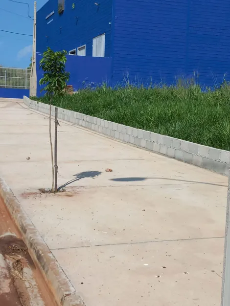 imagem 1 - TERRENO COMERCIAL/INDUSTRIAL DE 1.427 M² NO PARQUE DAS OLIVEIRAS, RIBEIRÃO PRETO, SP imagem 1 - TERRENO COMERCIAL/INDUSTRIAL DE 1.427 M² NO PARQUE DAS OLIVEIRAS, RIBEIRÃO PRETO, SP
