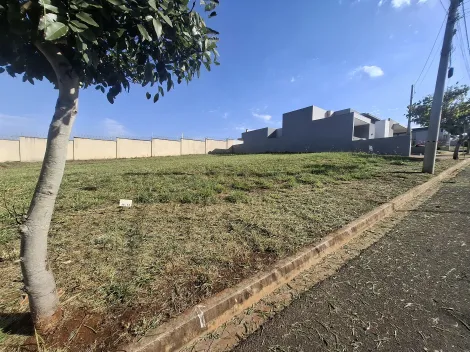 imagem 2 - Terreno em condomínioamplo de 288m² à venda - Bonfim Paulista imagem 2 - Terreno em condomínioamplo de 288m² à venda - Bonfim Paulista