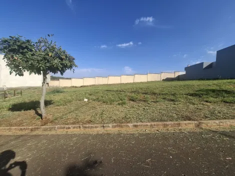 imagem 1 - Terreno em condomínioamplo de 288m² à venda - Bonfim Paulista imagem 1 - Terreno em condomínioamplo de 288m² à venda - Bonfim Paulista
