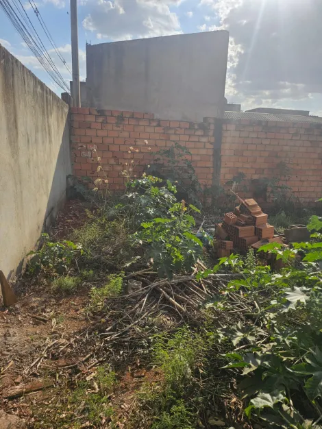 imagem 4 - Terreno plano de 160m² à venda - Jardim Pedra Branca imagem 4 - Terreno plano de 160m² à venda - Jardim Pedra Branca