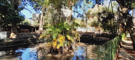 imagem 2 - Chácara de 756m² com piscina para locação e venda - City Ribeirão imagem 2 - Chácara de 756m² com piscina para locação e venda - City Ribeirão