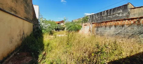 imagem 1 - Terreno de 216m² à venda - Vila Brasil imagem 1 - Terreno de 216m² à venda - Vila Brasil