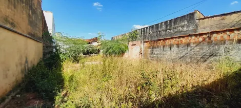 imagem 2 - Terreno de 216m² à venda - Vila Brasil imagem 2 - Terreno de 216m² à venda - Vila Brasil
