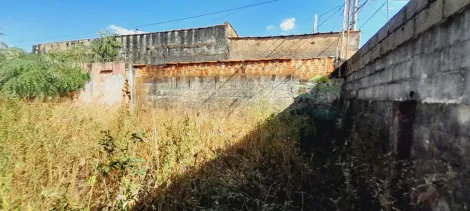imagem 3 - Terreno de 216m² à venda - Vila Brasil imagem 3 - Terreno de 216m² à venda - Vila Brasil