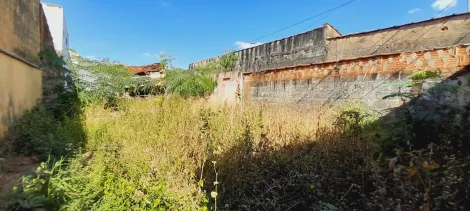 imagem 4 - Terreno de 216m² à venda - Vila Brasil imagem 4 - Terreno de 216m² à venda - Vila Brasil