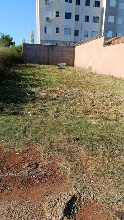 imagem 1 - Terreno de 160m² à venda - Reserva Macaúba imagem 1 - Terreno de 160m² à venda - Reserva Macaúba