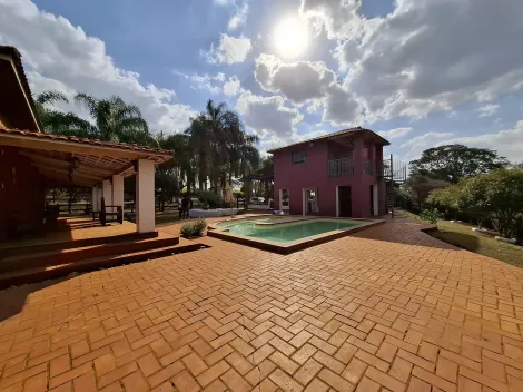 imagem 4 - Sítio de 3.6 alqueires à venda - Ribeirão Preto imagem 4 - Sítio de 3.6 alqueires à venda - Ribeirão Preto