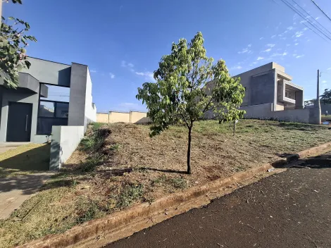 imagem 1 - Terreno amplo de 288m² à venda - Bonfim Paulista imagem 1 - Terreno amplo de 288m² à venda - Bonfim Paulista