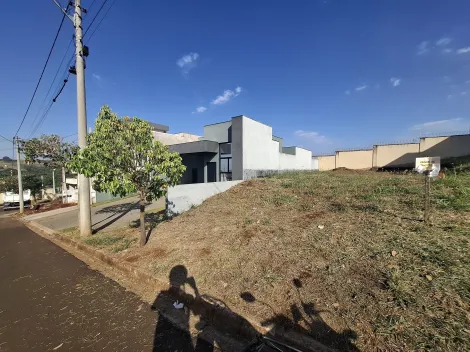 imagem 3 - Terreno amplo de 288m² à venda - Bonfim Paulista imagem 3 - Terreno amplo de 288m² à venda - Bonfim Paulista