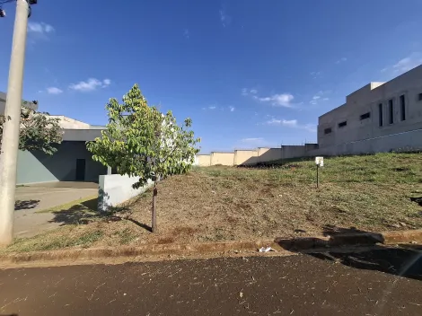 imagem 2 - Terreno amplo de 288m² à venda - Bonfim Paulista imagem 2 - Terreno amplo de 288m² à venda - Bonfim Paulista