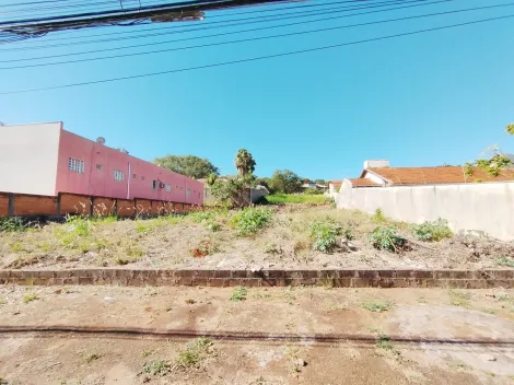 imagem 3 - Terreno Misto de 778 m² à venda - Ribeirânia imagem 3 - Terreno Misto de 778 m² à venda - Ribeirânia