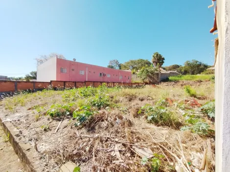 imagem 5 - Terreno Misto de 778 m² à venda - Ribeirânia imagem 5 - Terreno Misto de 778 m² à venda - Ribeirânia
