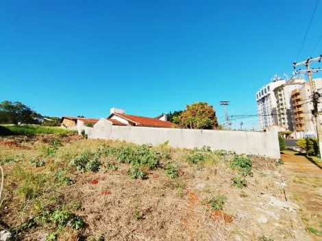 imagem 4 - Terreno misto de 778 m² à venda - Ribeirânia imagem 4 - Terreno misto de 778 m² à venda - Ribeirânia