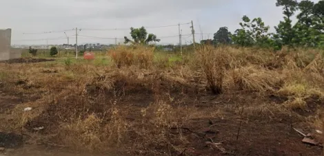 imagem 2 - Terreno de 240m² à venda - Jardim Cristo Redentor imagem 2 - Terreno de 240m² à venda - Jardim Cristo Redentor