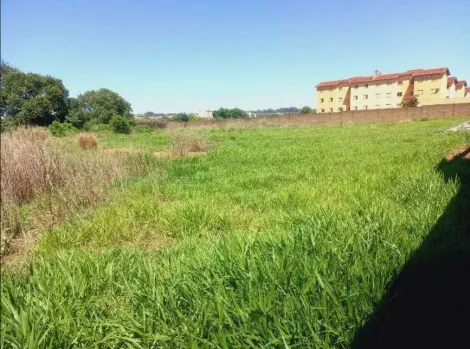 imagem 1 - Terreno comercial misto com 6.640 m² à venda - Ipiranga imagem 1 - Terreno comercial misto com 6.640 m² à venda - Ipiranga