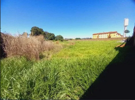 imagem 3 - Terreno comercial misto com 6.640 m² à venda - Ipiranga imagem 3 - Terreno comercial misto com 6.640 m² à venda - Ipiranga