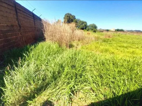 imagem 4 - Terreno comercial misto com 6.640 m² à venda - Ipiranga imagem 4 - Terreno comercial misto com 6.640 m² à venda - Ipiranga